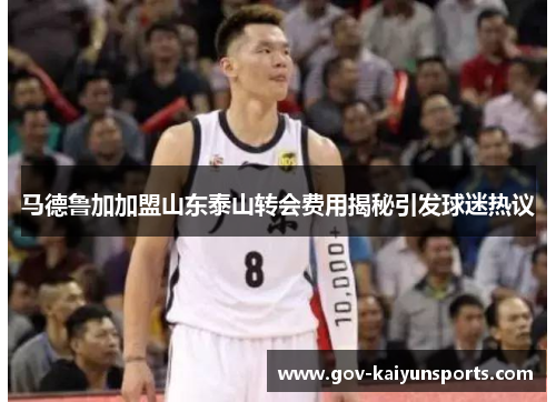 马德鲁加加盟山东泰山转会费用揭秘引发球迷热议