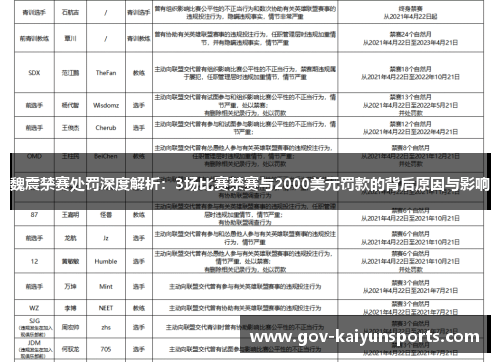 魏震禁赛处罚深度解析：3场比赛禁赛与2000美元罚款的背后原因与影响