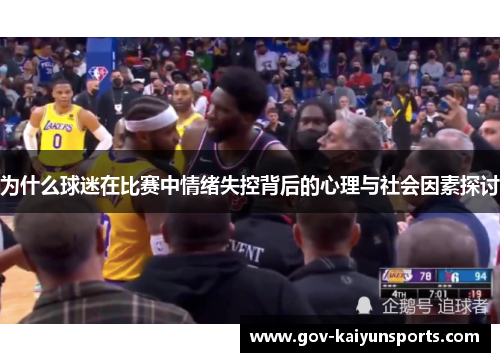 为什么球迷在比赛中情绪失控背后的心理与社会因素探讨