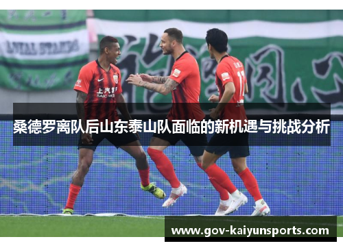 桑德罗离队后山东泰山队面临的新机遇与挑战分析