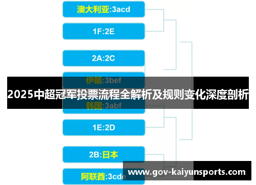 2025中超冠军投票流程全解析及规则变化深度剖析