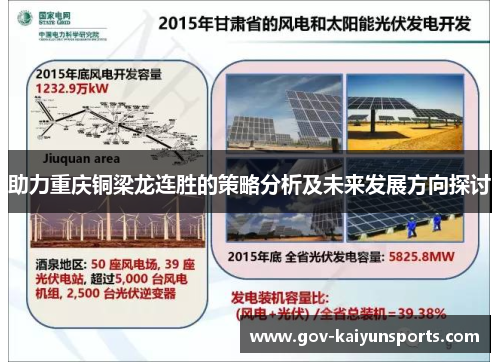 助力重庆铜梁龙连胜的策略分析及未来发展方向探讨