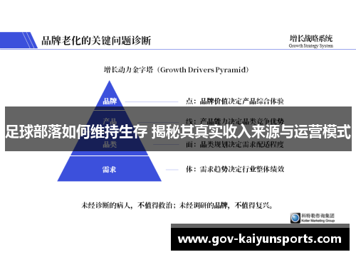 足球部落如何维持生存 揭秘其真实收入来源与运营模式